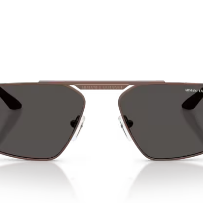 ARMANI EXCHANGE AX2059S Sunglass | Designer eyeglasses for men and women | SpecsBunker India | premium optical frames collection