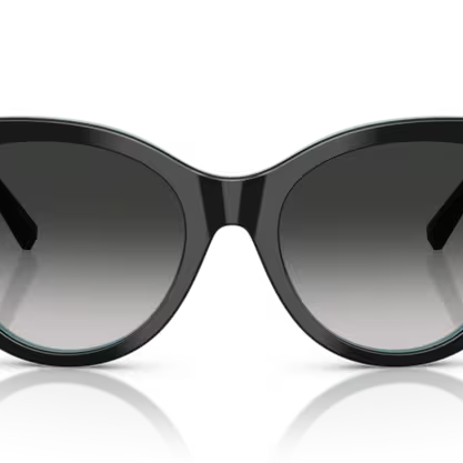 Tiffany & Co Tiffany & Co TF4232 Sunglass black butterfly sunglass for Women