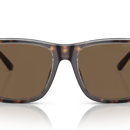 EMPORIO ARMANI EA4208 Sunglass
