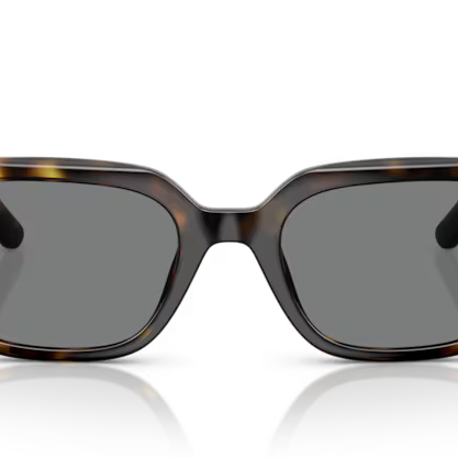 RAY-BAN RB4439D Sunglass | Luxury designer sunglasses | SpecsBunker India – designer sunglasses eyewear