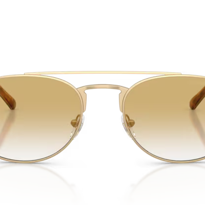 EMPORIO ARMANI EA2171 Sunglass
