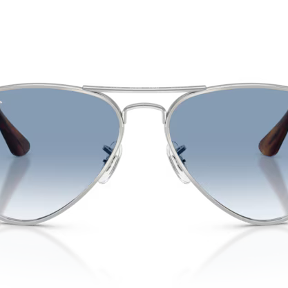 RAY-BAN RB3925 Sunglass