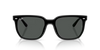 RAY-BAN RB4466D Sunglass