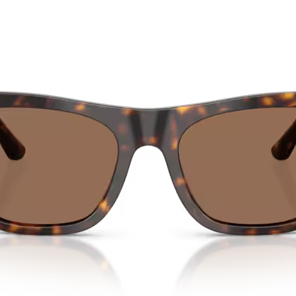 DOLCE & GABBANA DG4511 Sunglass