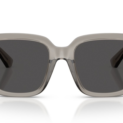 BURBERRY BE4473U Sunglass