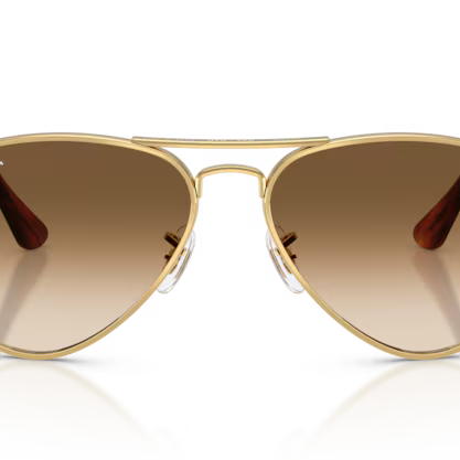RAY-BAN RB3925 Sunglass