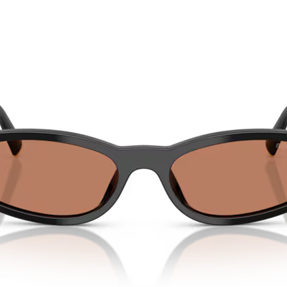 MIU MIU MIU MIU MU A06S Sunglass black irregular sunglass for Women