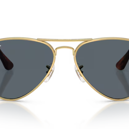 RAY-BAN RB3925 Sunglass