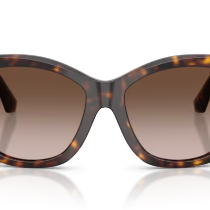 DOLCE & GABBANA DG4501 Sunglass