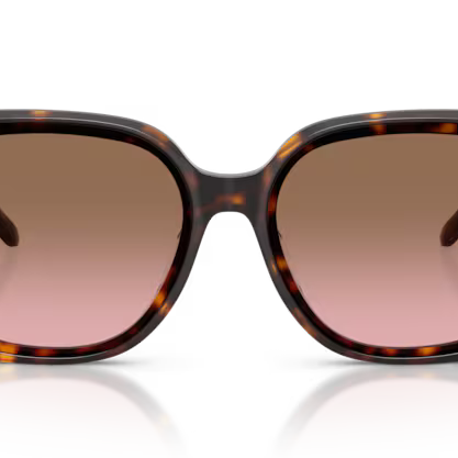 VOGUE VO5684SD Sunglass
