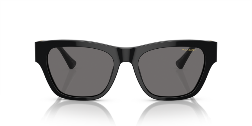 VERSACE VE4457 Sunglass