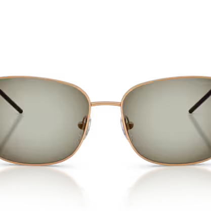 EMPORIO ARMANI EA2170 Sunglass