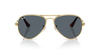RAY-BAN RB3925 Sunglass