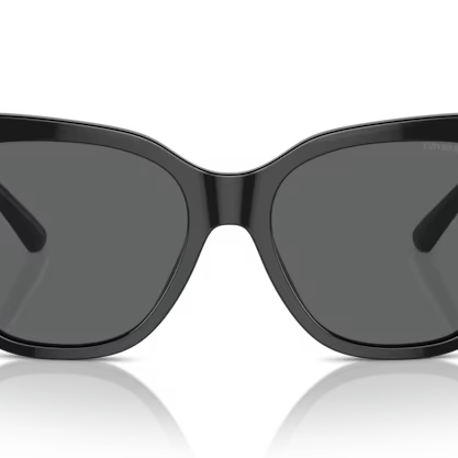 EMPORIO ARMANI EA4221 Sunglass online in India – premium sunglasses for men and women