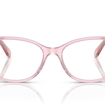 SWAROVSKI SK2010 Optical Frame