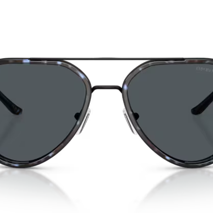 EMPORIO ARMANI EA2163 Sunglass