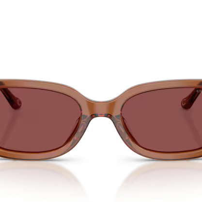 COACH HC8439U Sunglass online in India – stylish designer eyewear