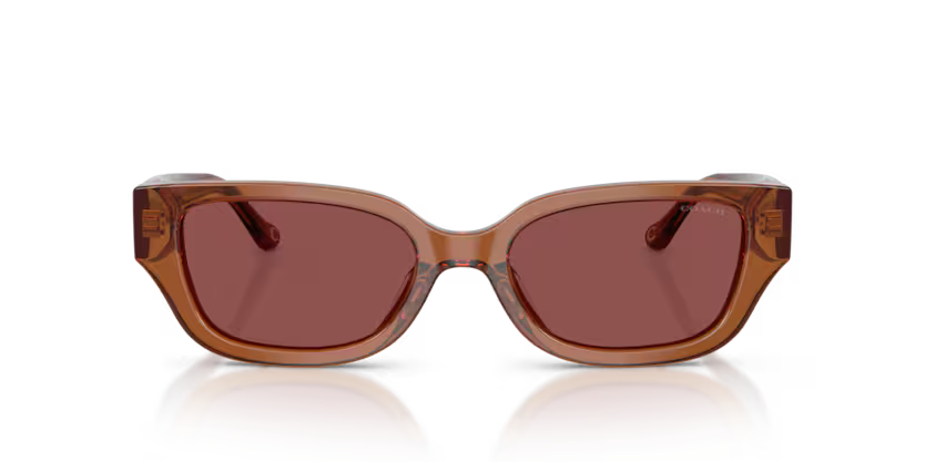 COACH HC8439U Sunglass online in India – stylish designer eyewear