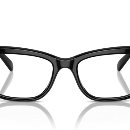 SWAROVSKI SK2022 Optical Frame