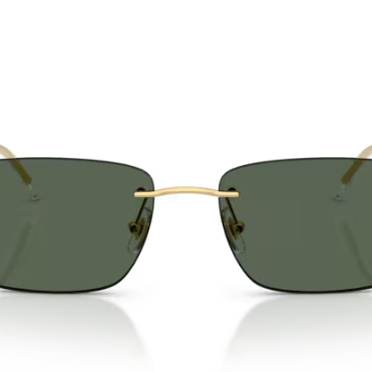 RAY-BAN RB3768 Sunglass