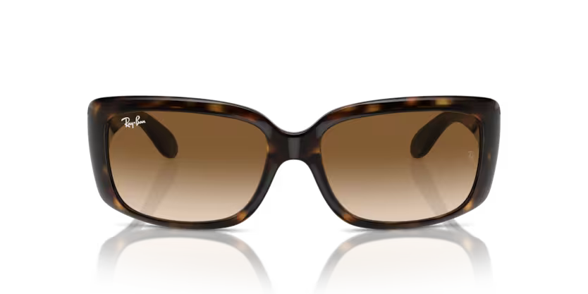 RAY-BAN RB4389 Sunglass