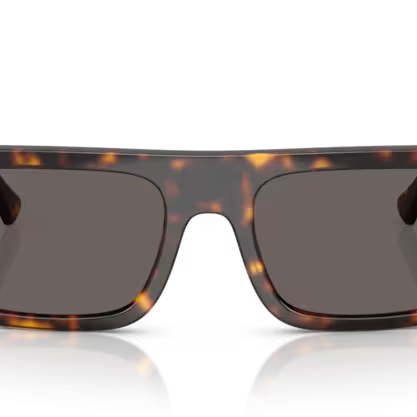 RAY-BAN RB4454 Sunglass