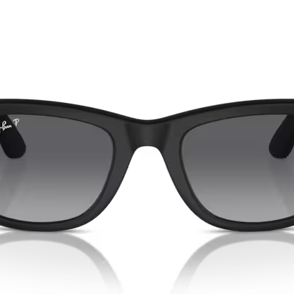 RAY-BAN META RW4006 Sunglass