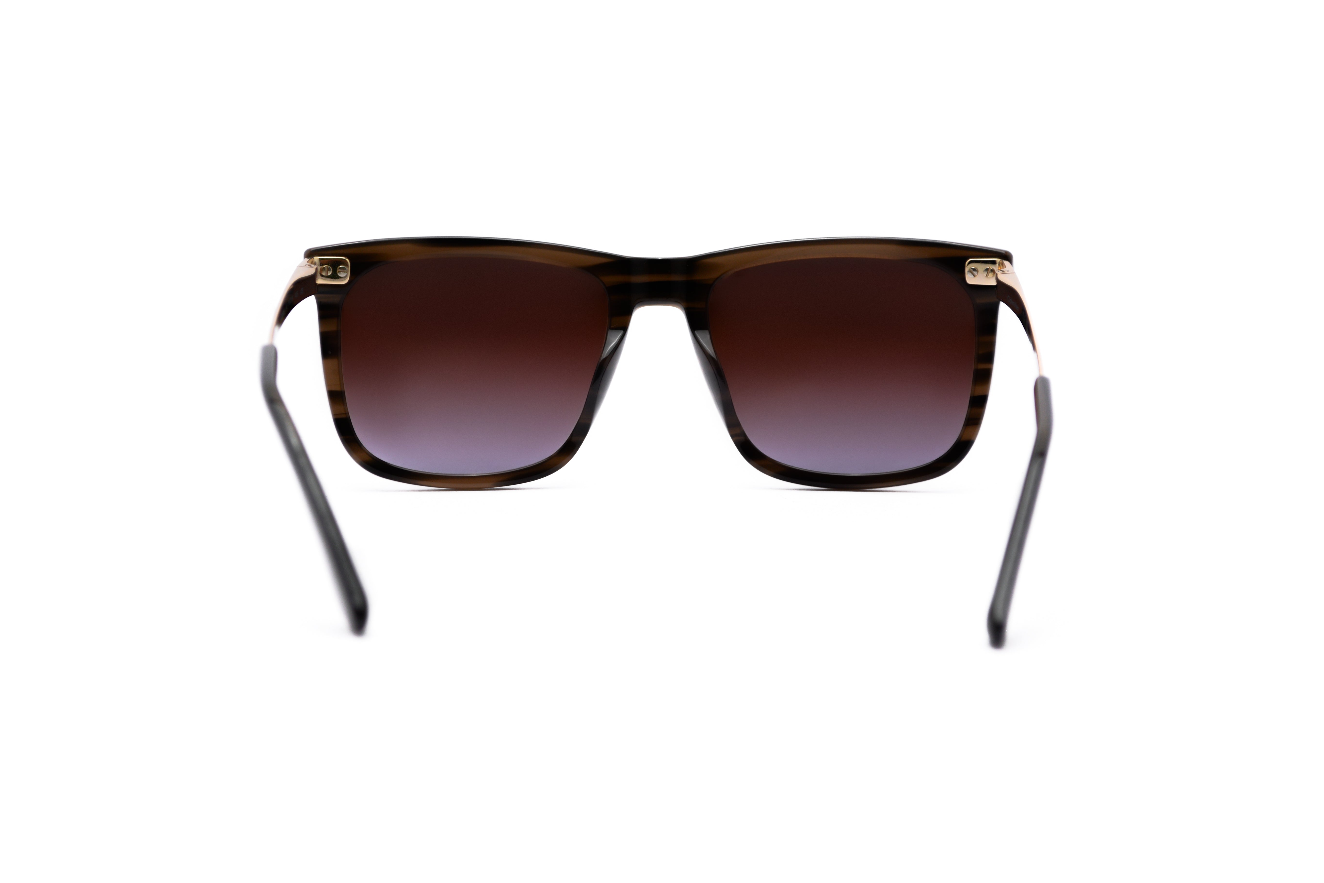 CALVIN KLEIN CK22536S Sunglass online in India – premium sunglasses for men and women
