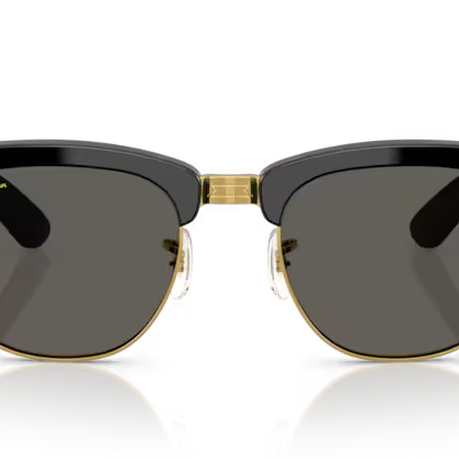RAY-BAN RB0316S Sunglass