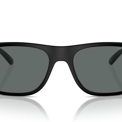 ARNETTE AN4341 Sunglass | Designer sunglasses for men and women | SpecsBunker India | premium sunglasses collection