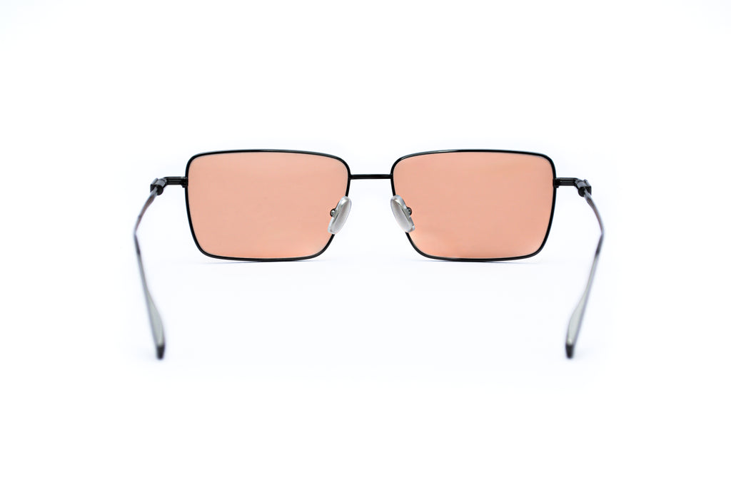 FERRAGAMO SF309 Sunglass