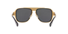 VERSACE VE2199 Sunglass