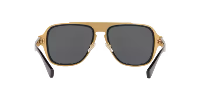 VERSACE VE2199 Sunglass