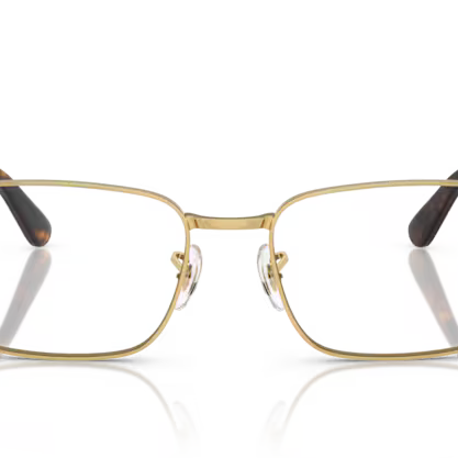 RAY-BAN RX6529 Optical Frame