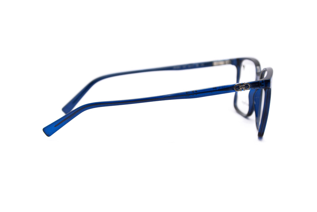 FERRAGAMO SF2954 Optical Frame
