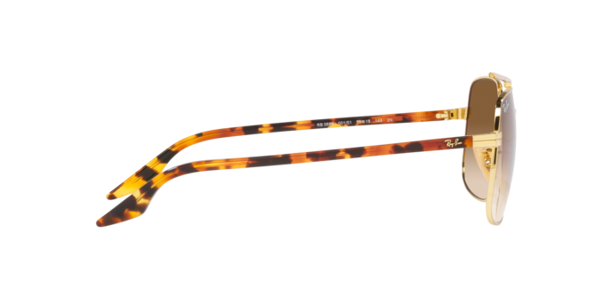 RAY-BAN RB3699 Sunglass