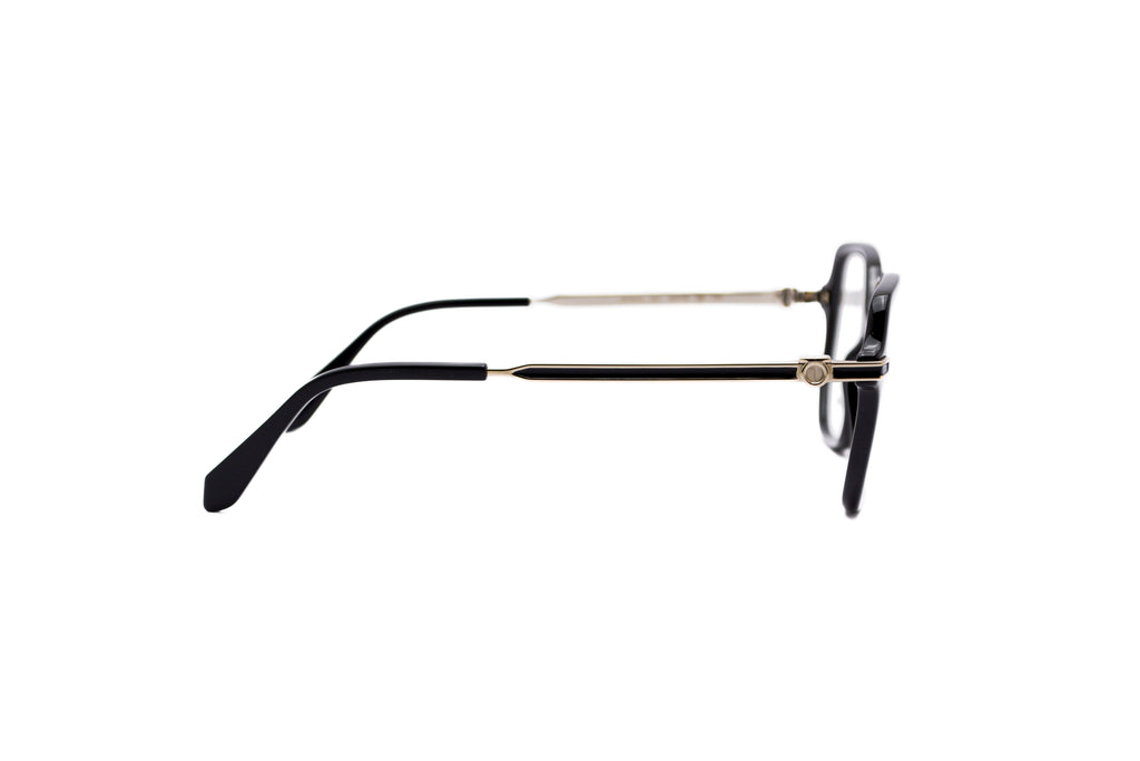 FERRAGAMO SF3012 Optical Frame