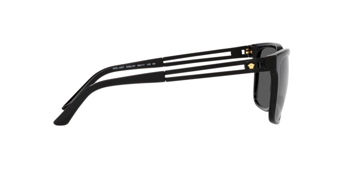 VERSACE VE4307 Sunglass