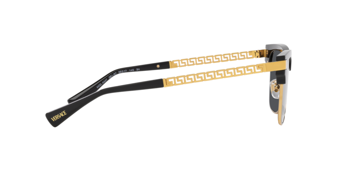 VERSACE VE4447 Sunglass