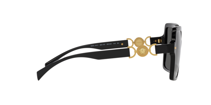 VERSACE VE4441 Sunglass