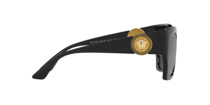 VERSACE VE4452 Sunglass