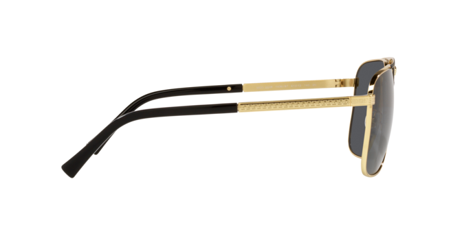 VERSACE VE2238 Sunglass