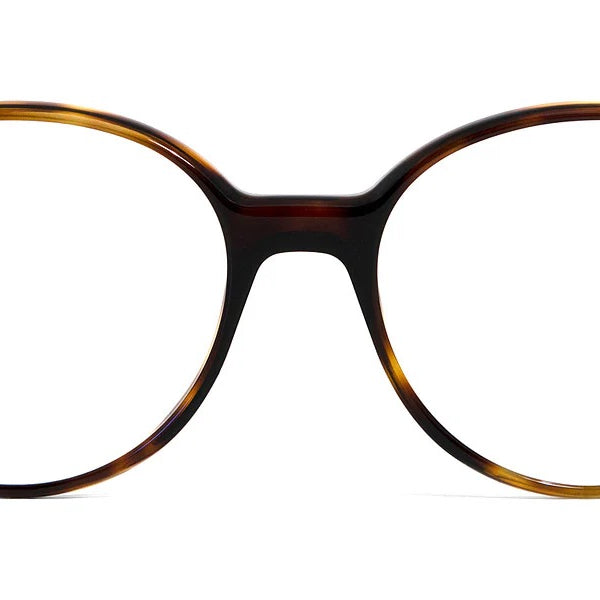 GOTTI WILLIS Optical Frame
