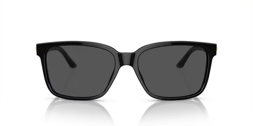 VERSACE VERSACE VE4307 Sunglass black rectangular / squared sunglass for Men