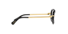 SWAROVSKI SK2001 Optical Frame