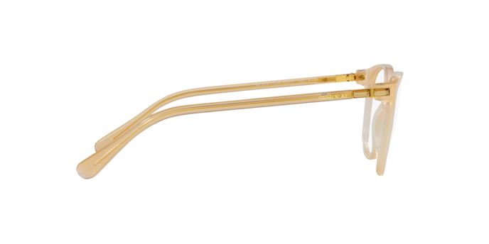 SWAROVSKI SK2002 Optical Frame