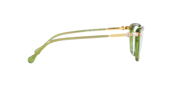 SWAROVSKI SK2011 Optical Frame