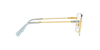 SWAROVSKI SK1003 Optical Frame