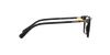 SWAROVSKI SK2015 Optical Frame