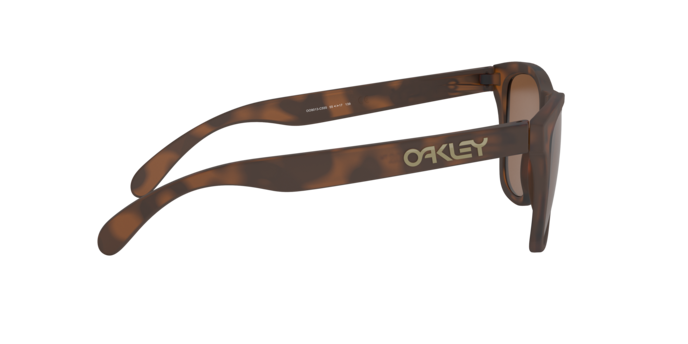 OAKLEY OO9013 Sunglass